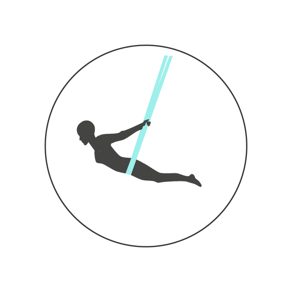 circle icon of hip hang posture