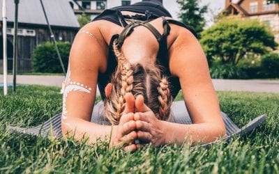 AIReal Yoga™ Forearm Planks: Teaching & Alignment Discussion